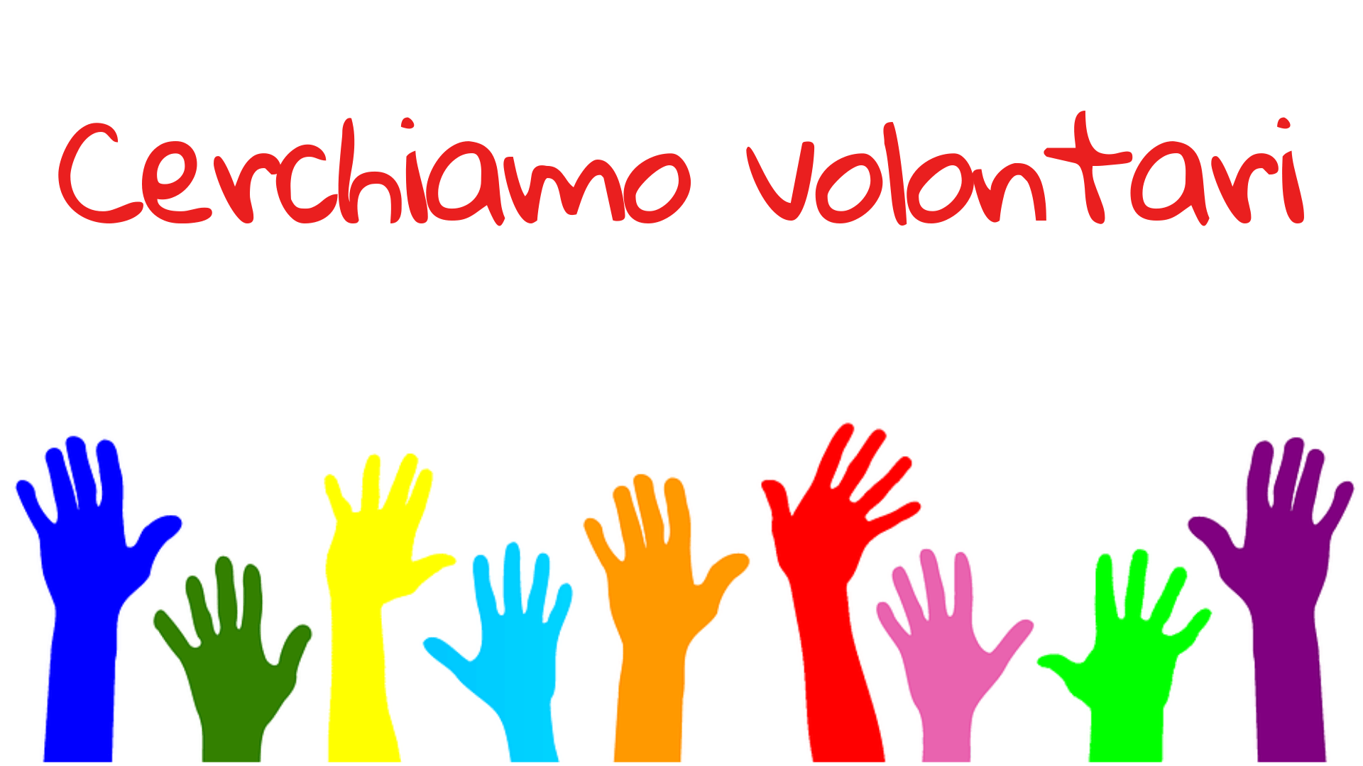 CERCASI VOLONTARI